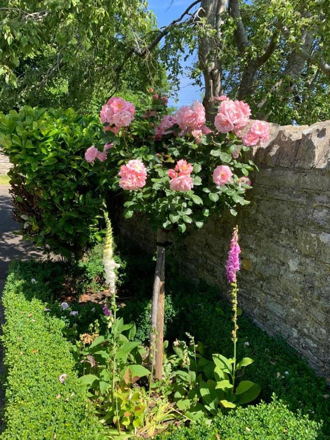 Parsnips House Bnb Glastonbury Exterior foto